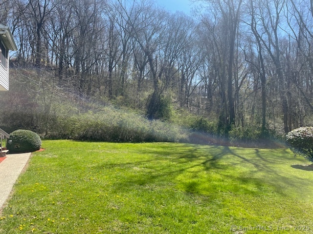 65 Russo Avenue #C3, East Haven, Connecticut image 2