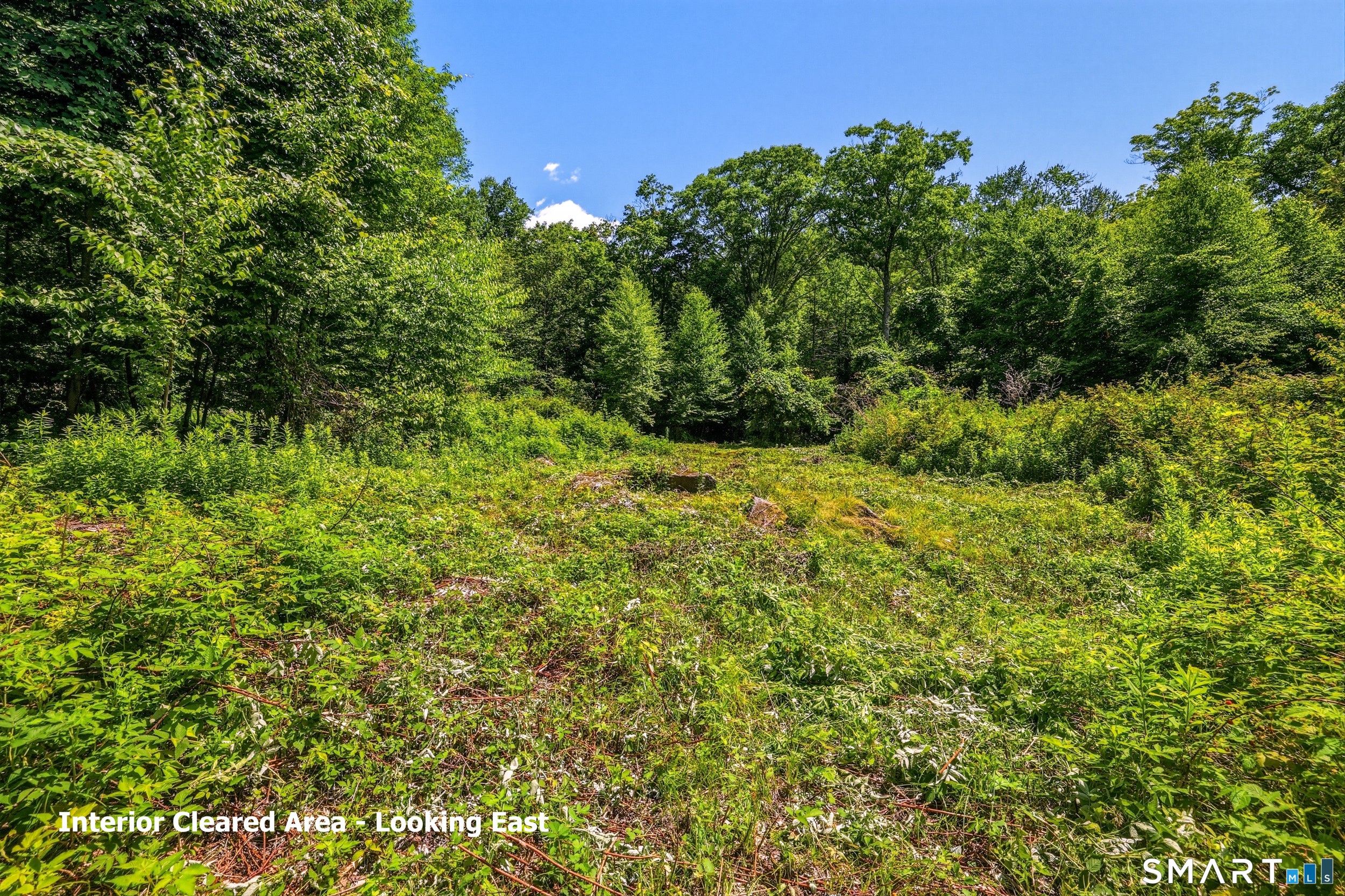 Ashley Road Lot 6