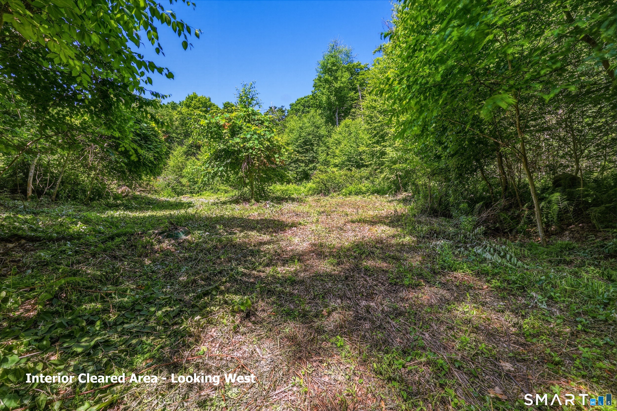 Ashley Road Lot 6