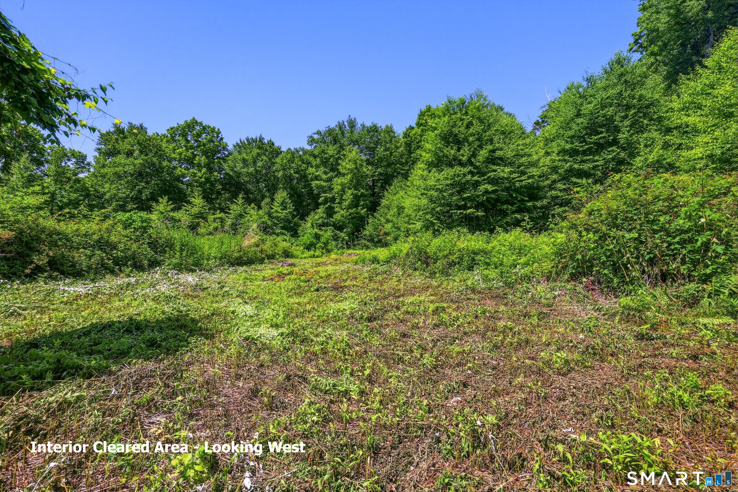 Ashley Road Lot 6