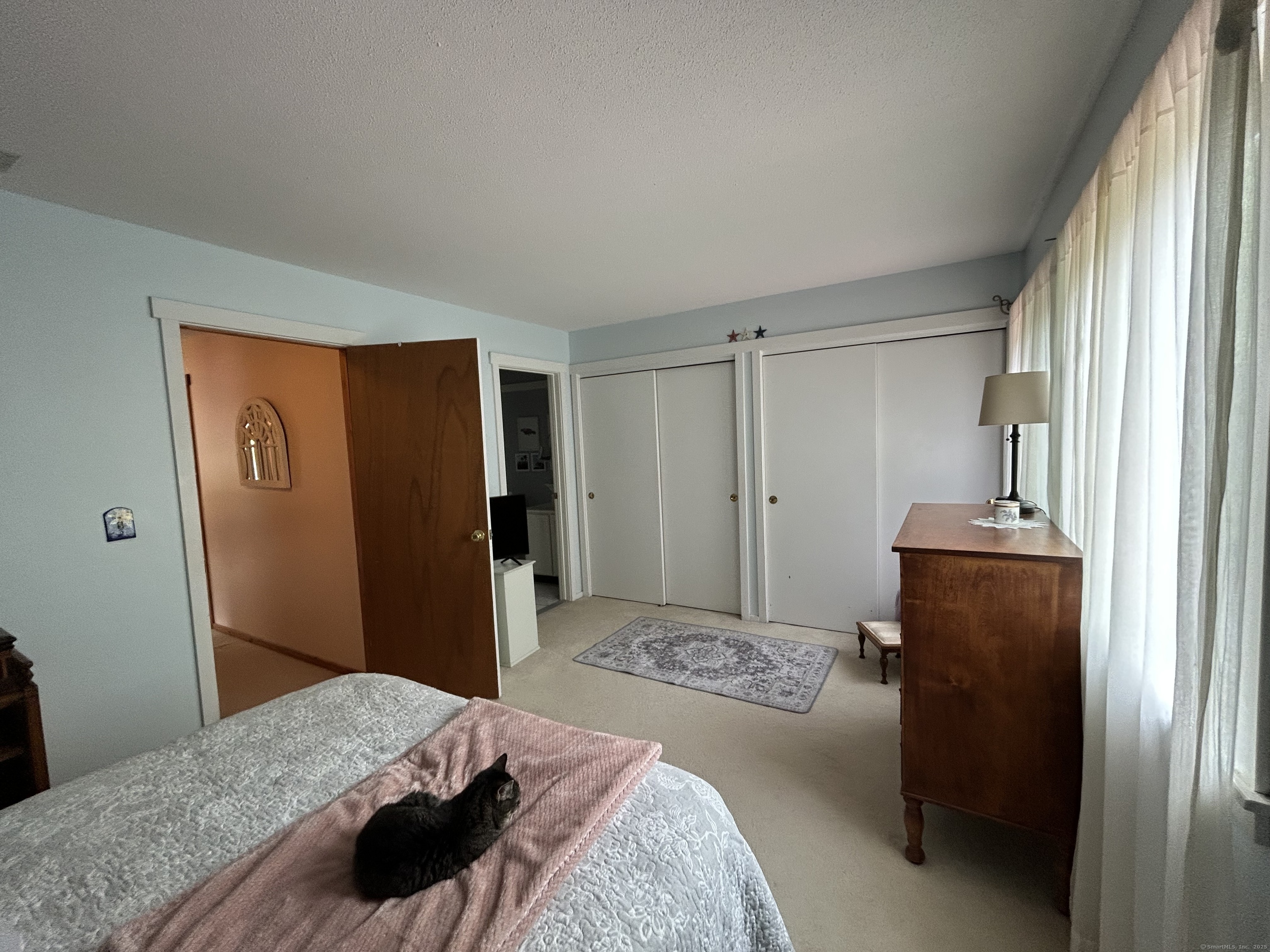 6 Deer Hill Court #6, Woodbury, Connecticut image 17