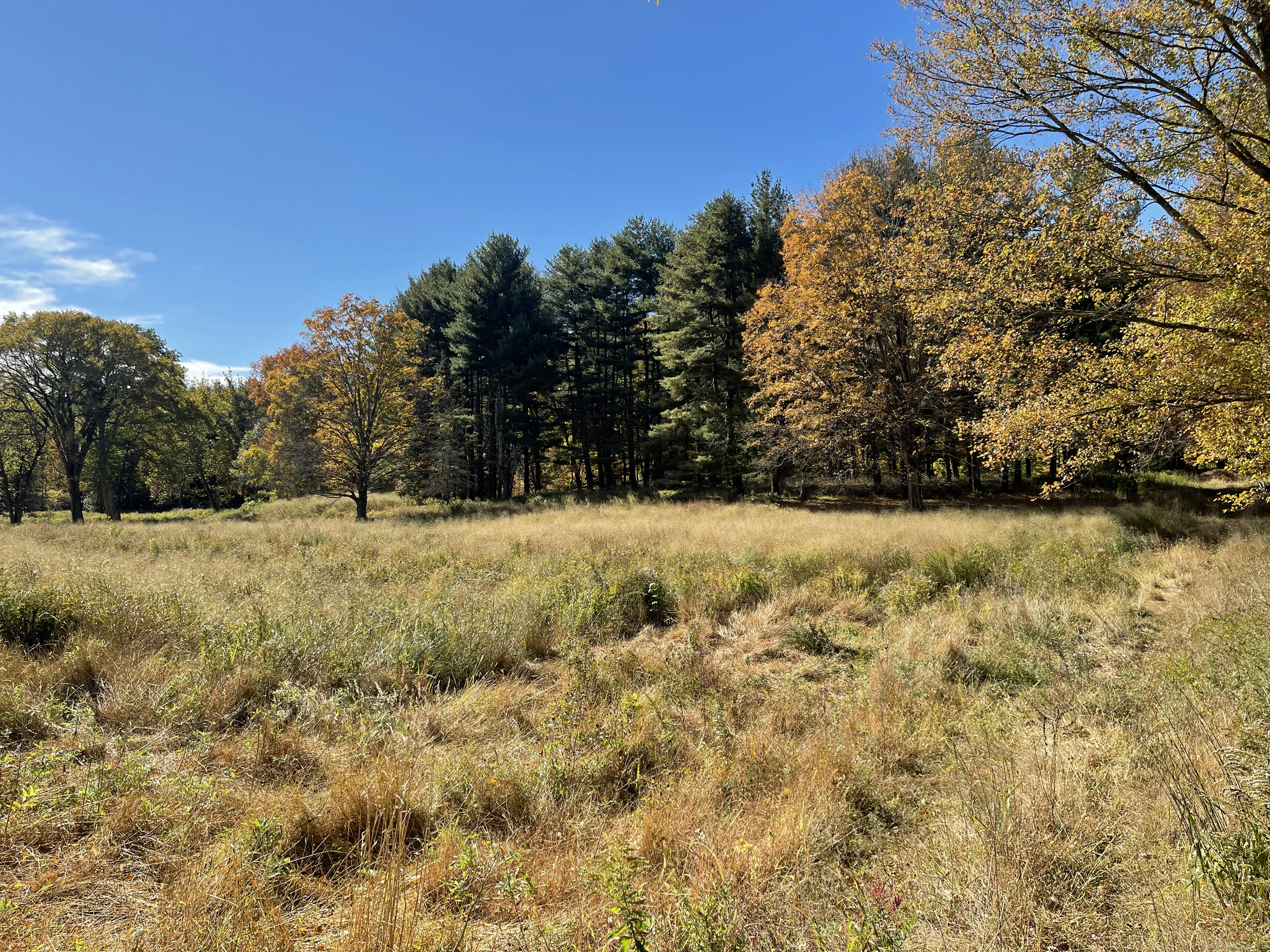 99 Seeley Road, Wilton, Connecticut image 3