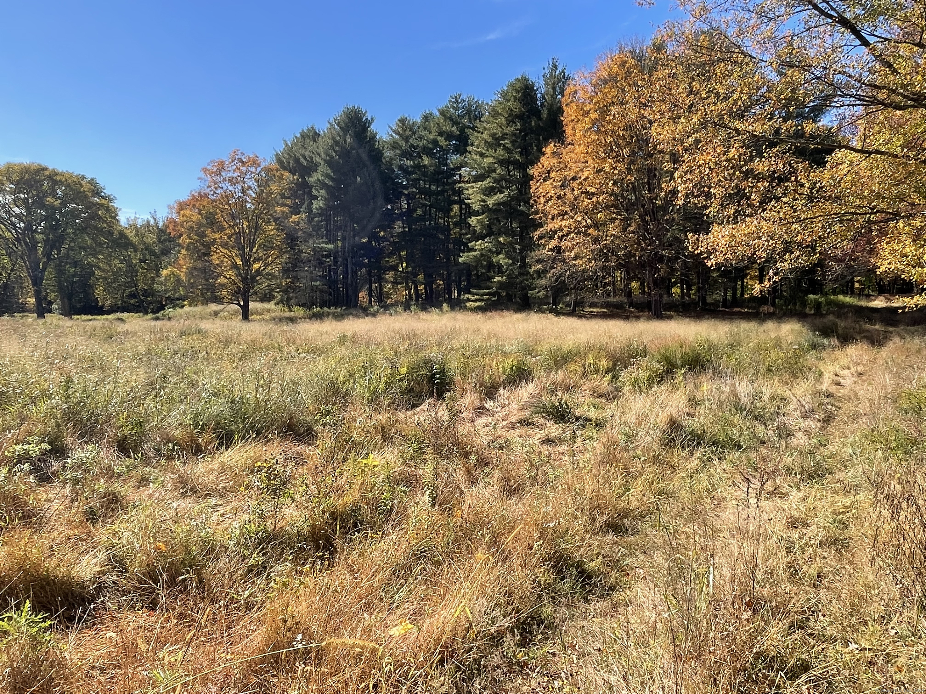 99 Seeley Road, Wilton, Connecticut image 5