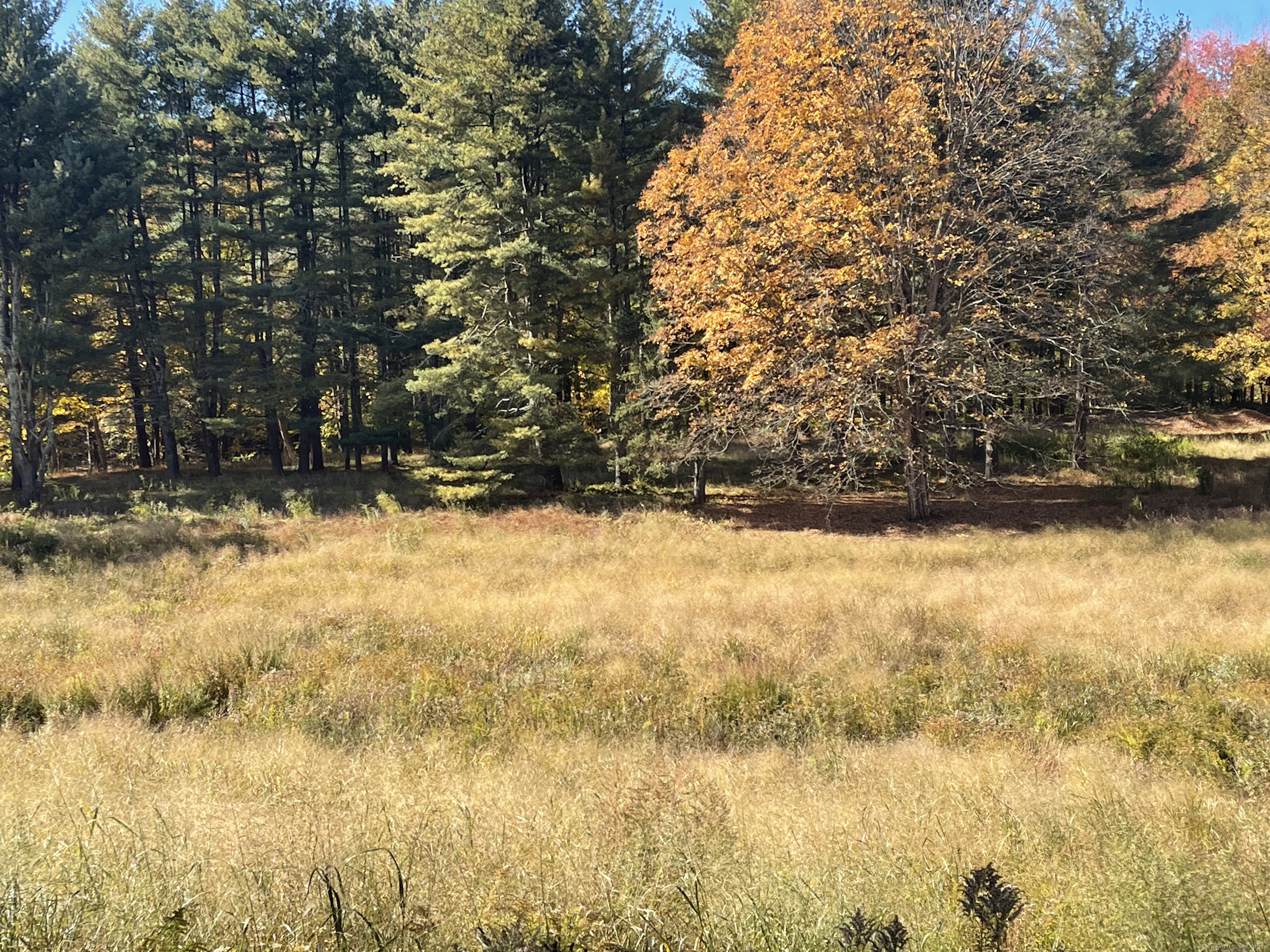 99 Seeley Road, Wilton, Connecticut image 7