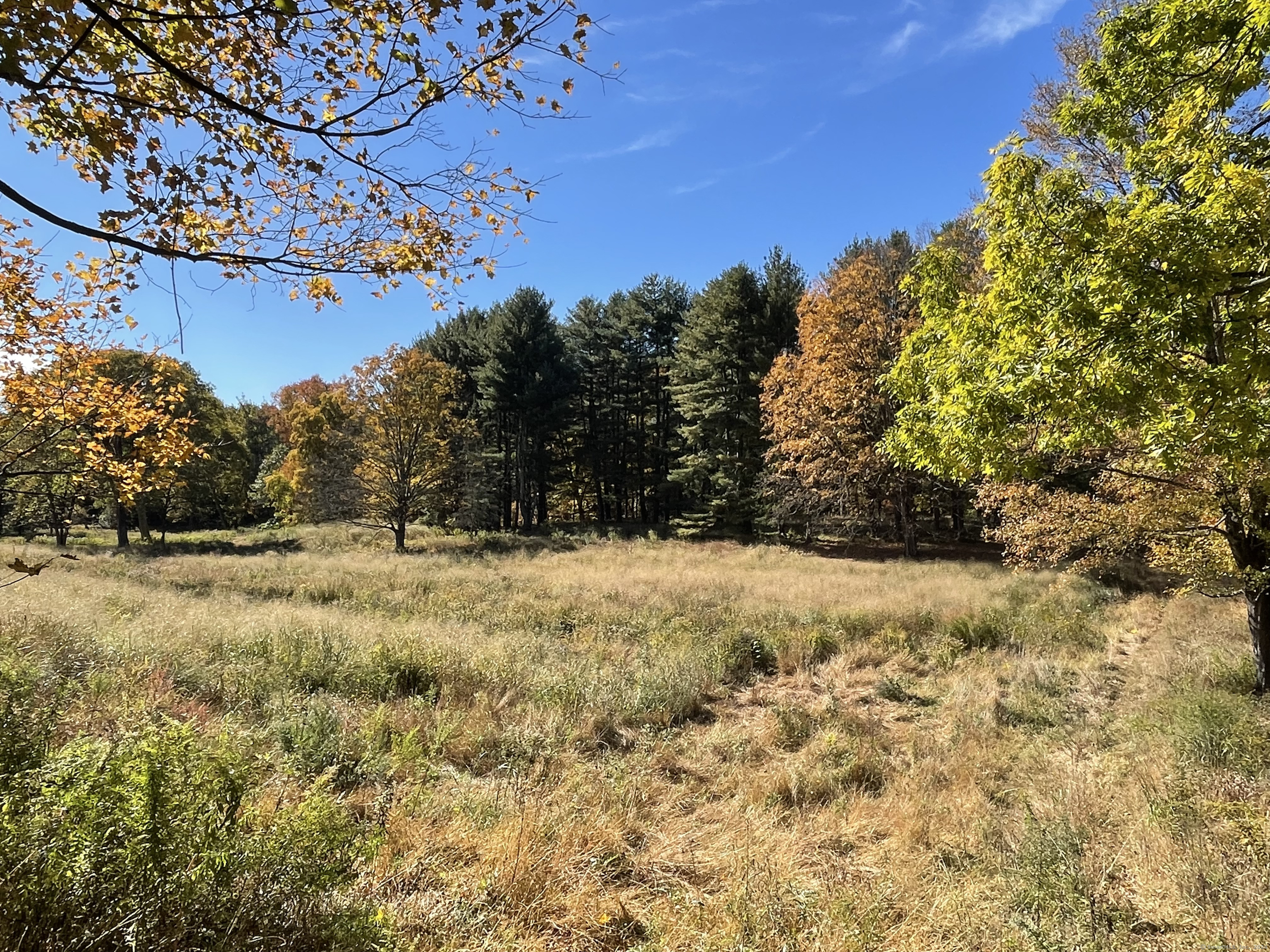99 Seeley Road, Wilton, Connecticut image 6