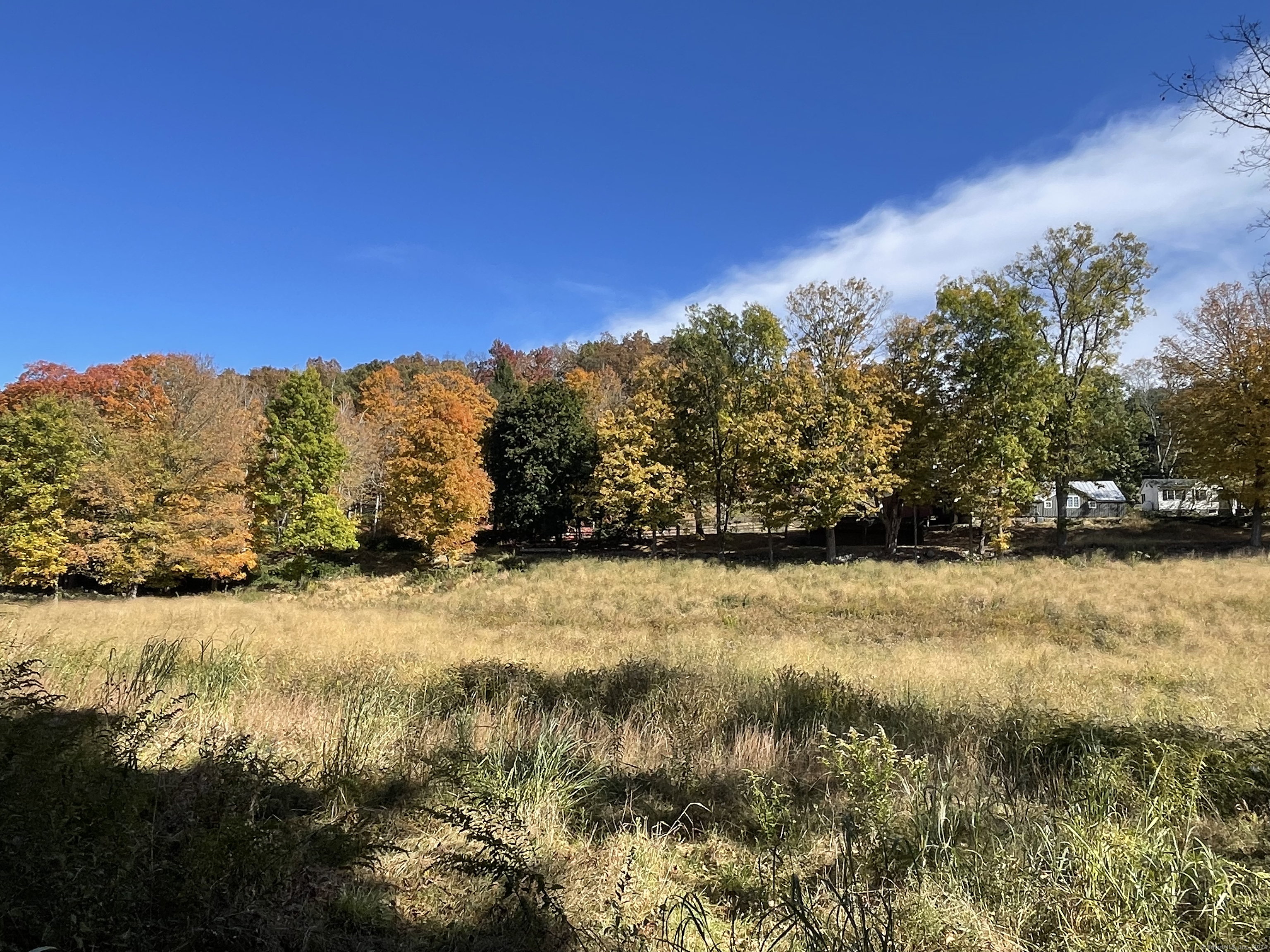 99 Seeley Road, Wilton, Connecticut image 4