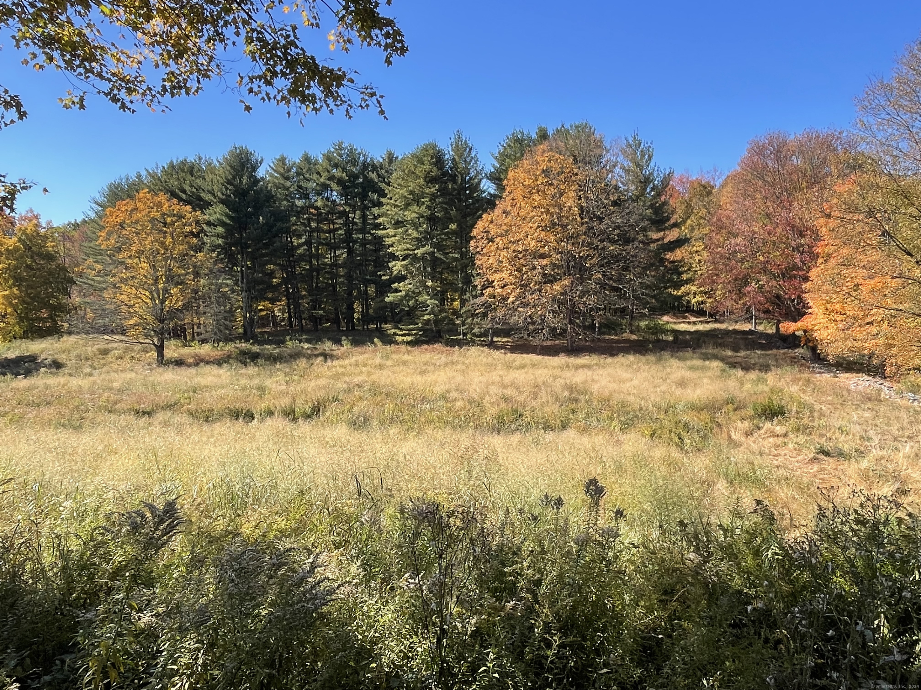99 Seeley Road, Wilton, Connecticut image 1