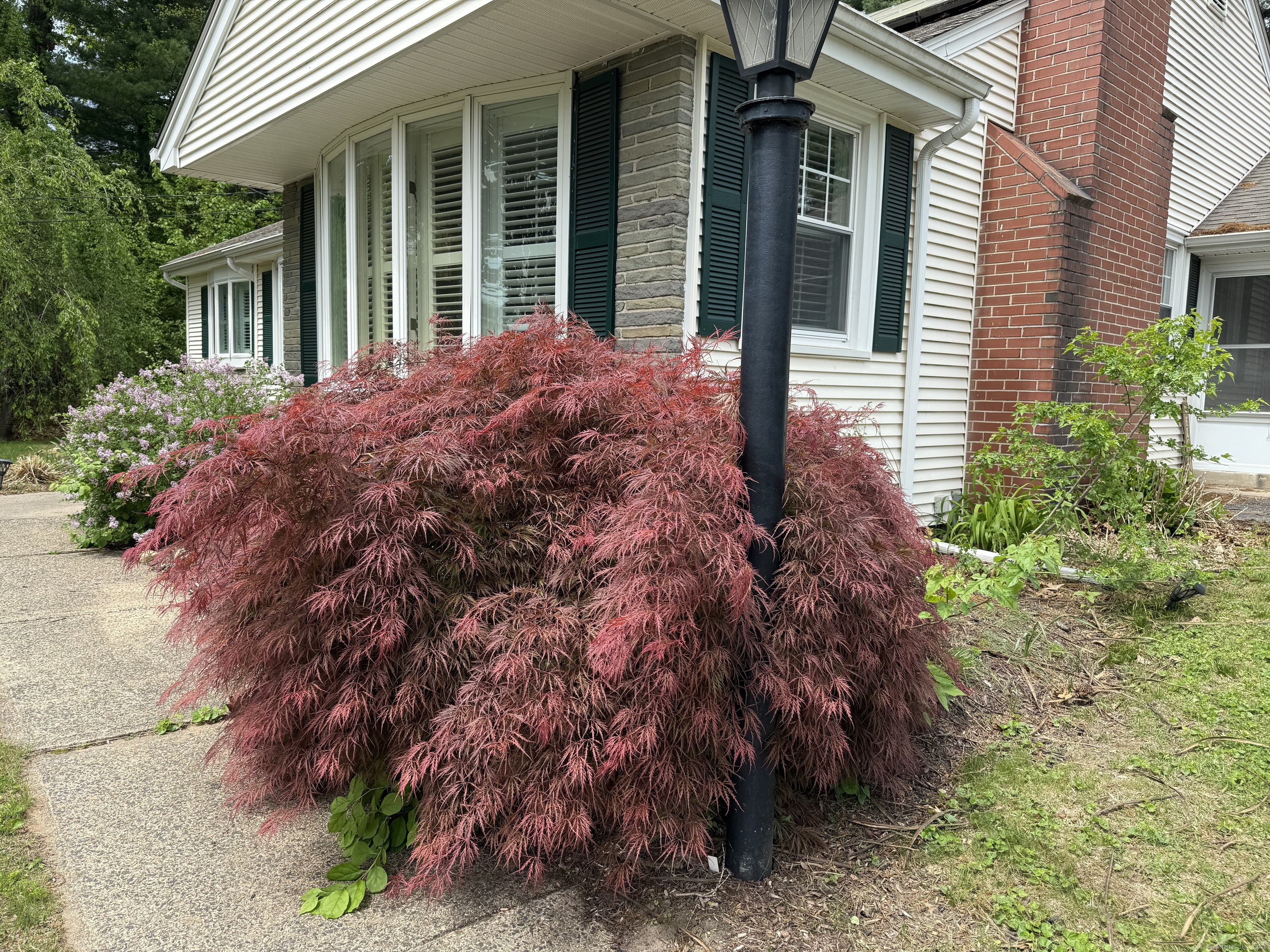 278 Dudley Town Road, Windsor, Connecticut image 29