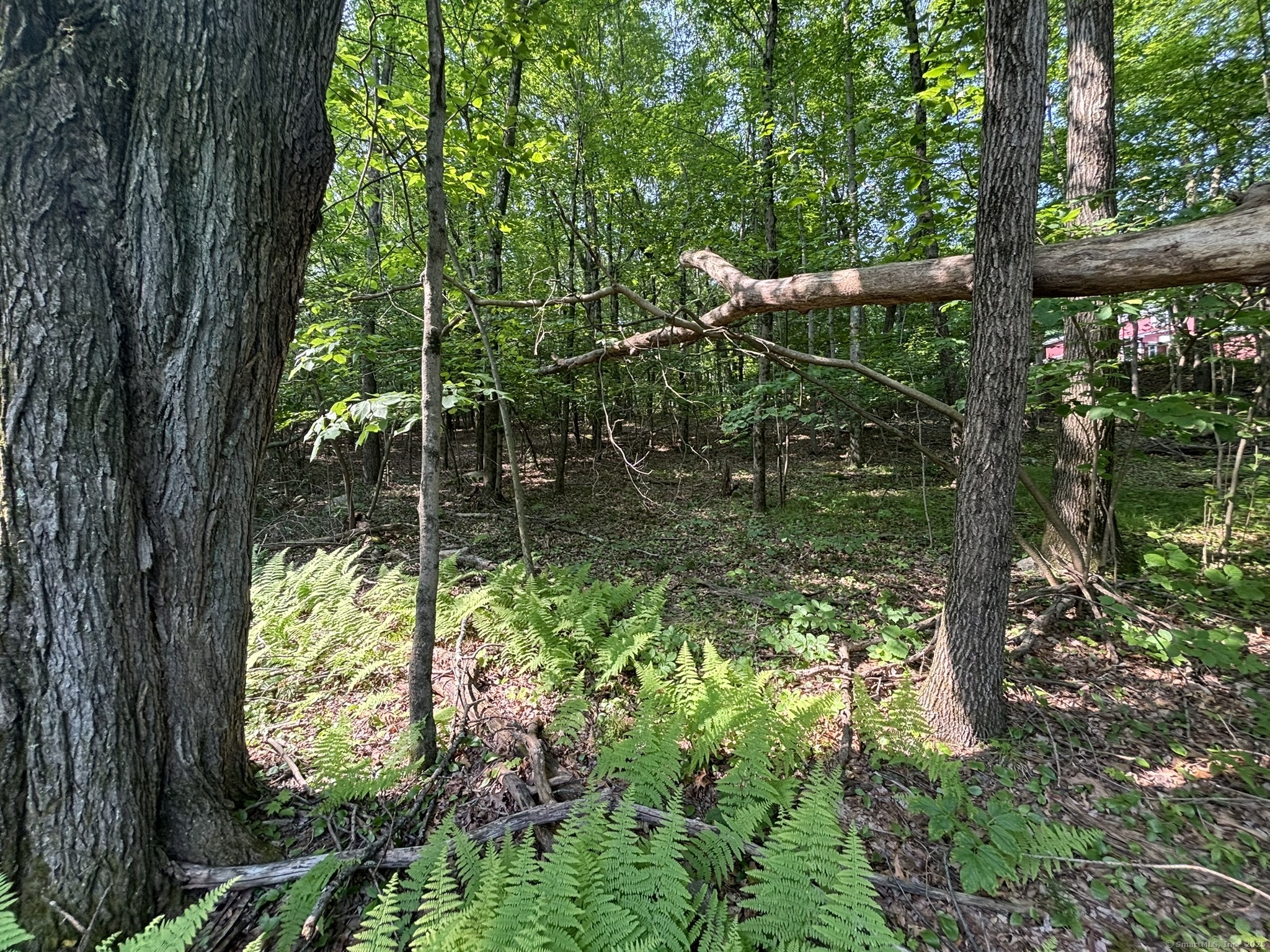 44 Cheshire Road, Prospect, Connecticut image 7