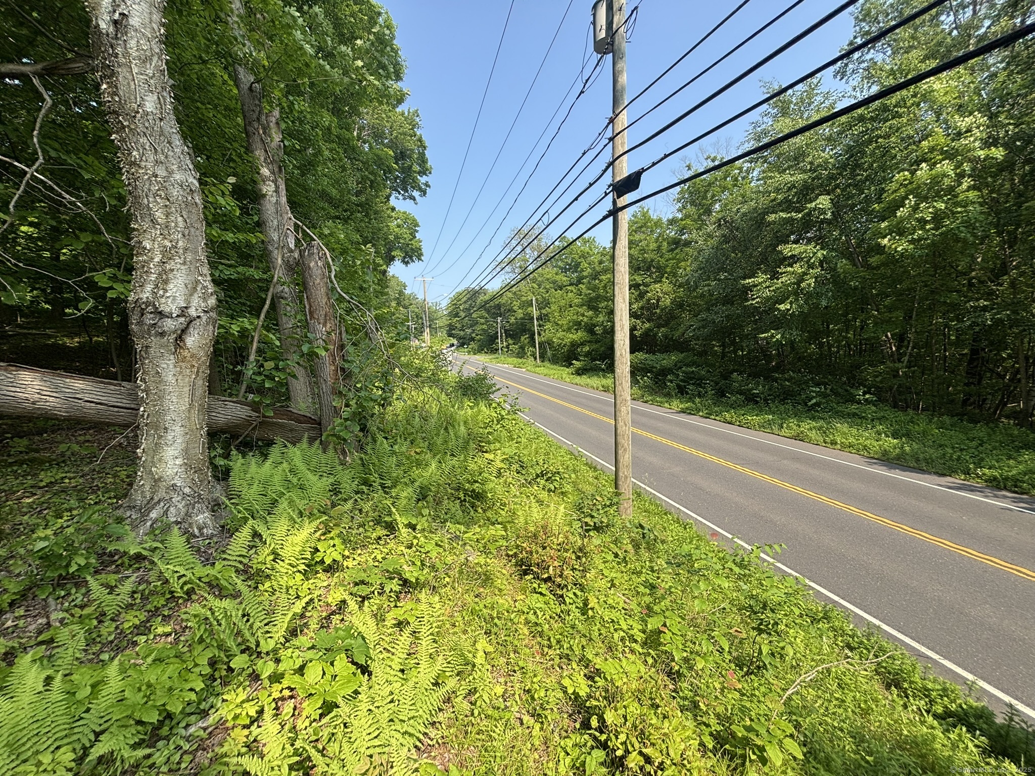 44 Cheshire Road, Prospect, Connecticut image 19