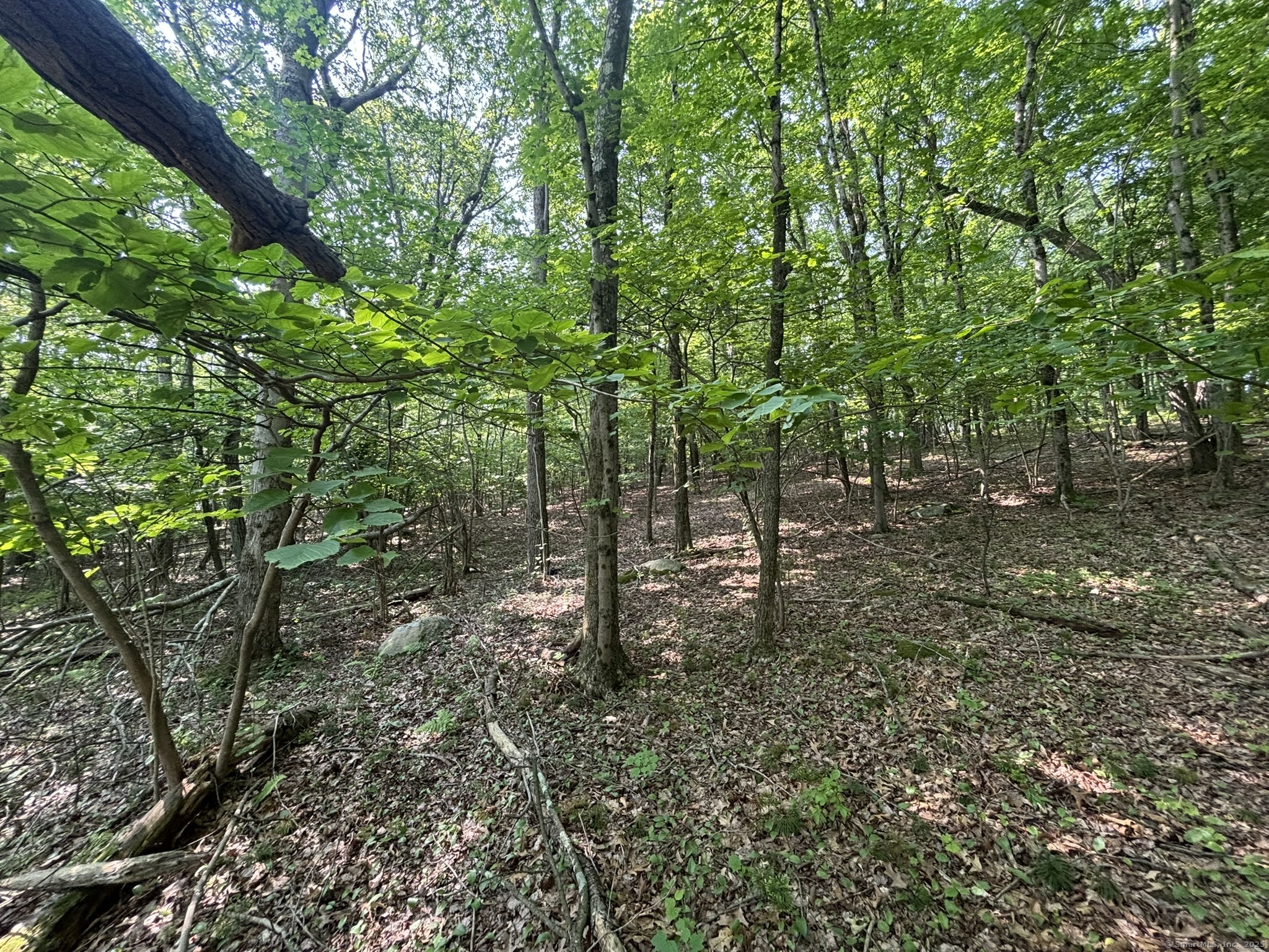 44 Cheshire Road, Prospect, Connecticut image 8