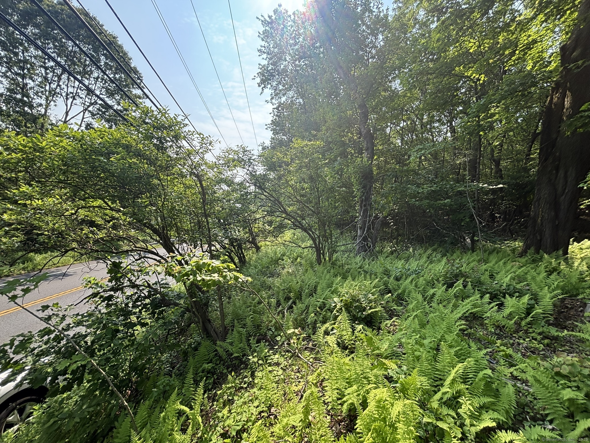 44 Cheshire Road, Prospect, Connecticut image 20
