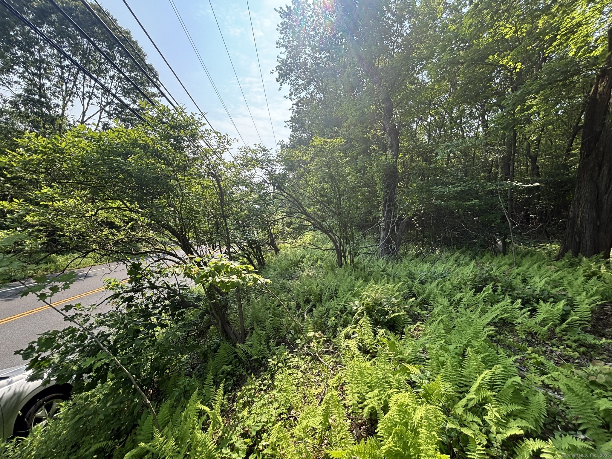 44 Cheshire Road, Prospect, Connecticut image 13
