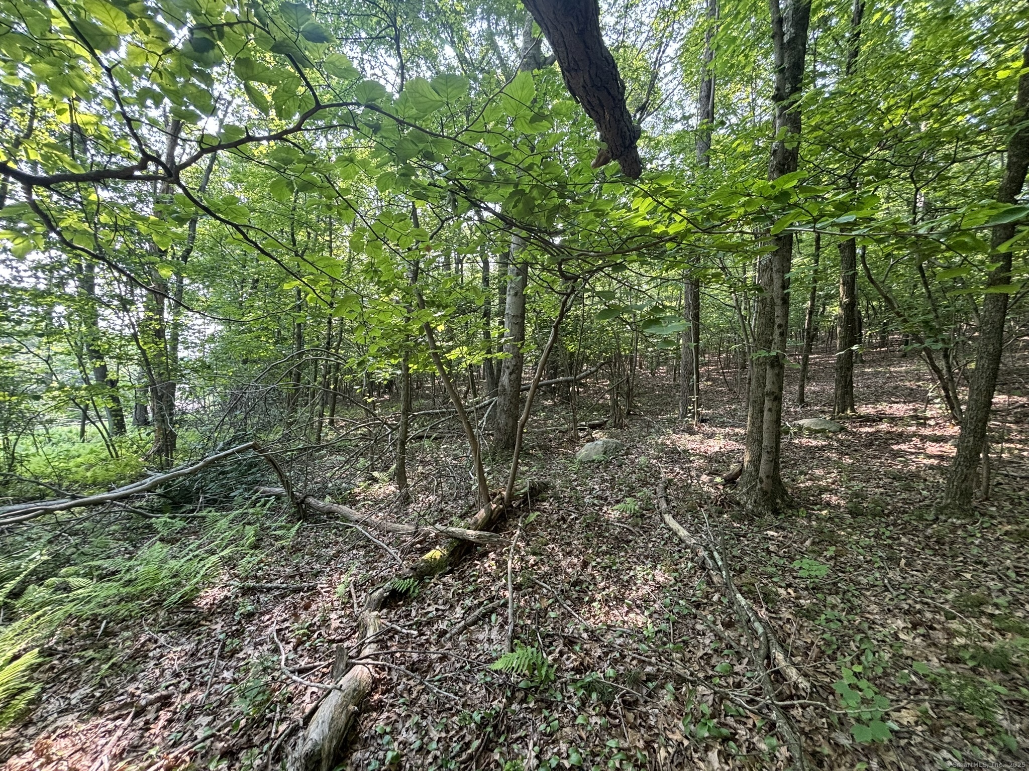 44 Cheshire Road, Prospect, Connecticut image 14