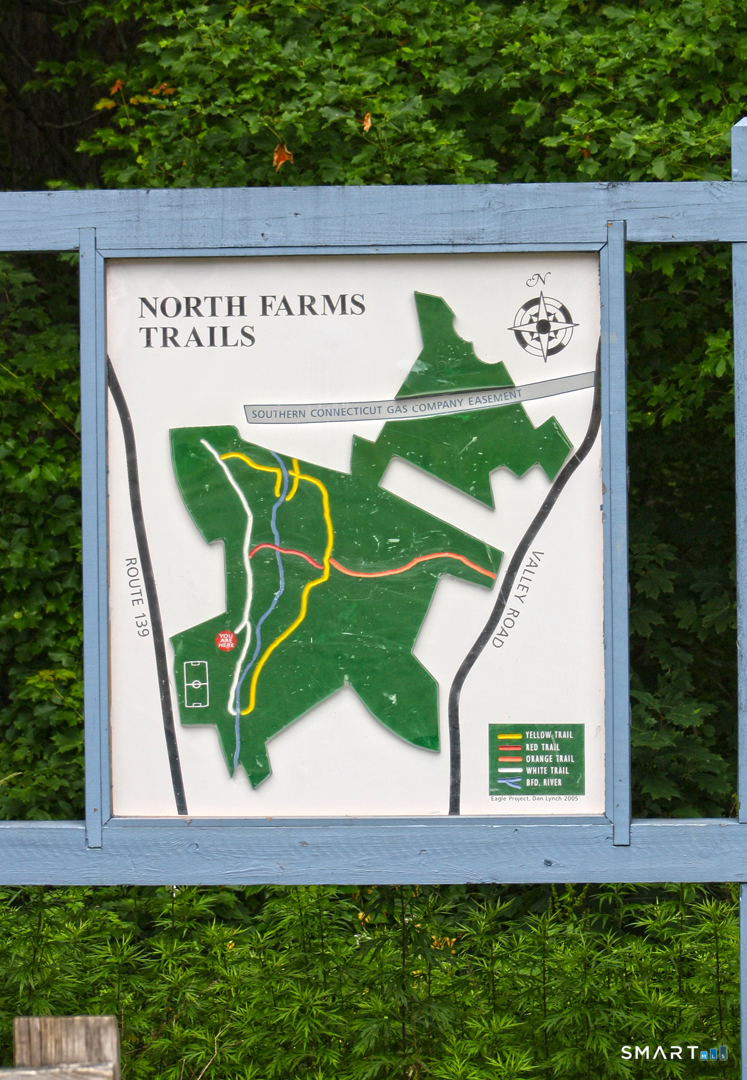 229 Branford Road 324