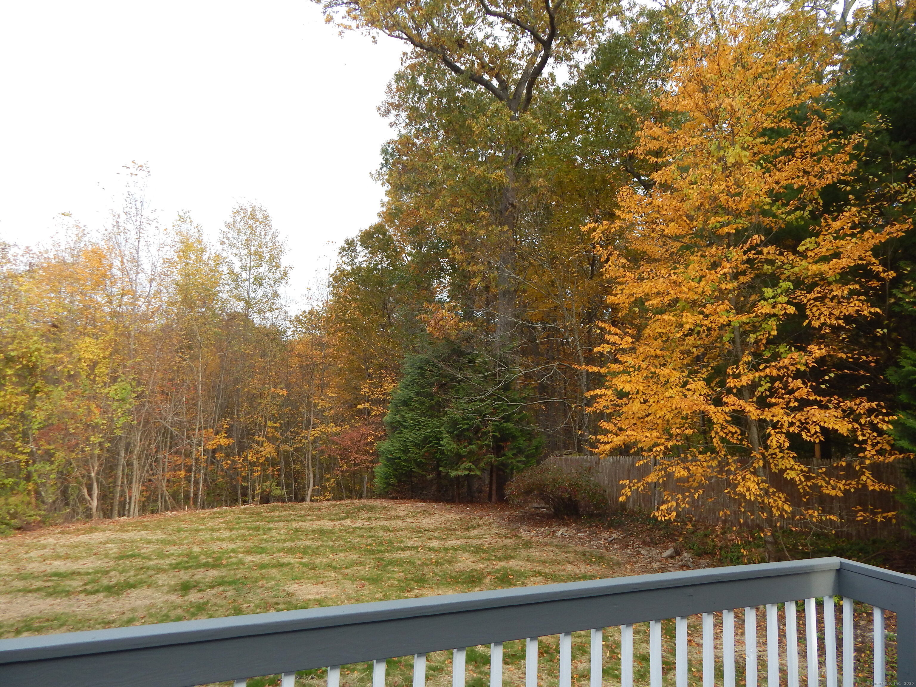 62 Bascom Road