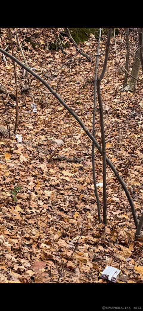 Hillside Avenue East Hartford CT 06108