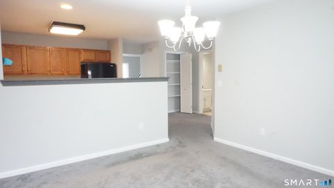 Tiny photo for 234 Willow Springs #234, New Milford, CT 06776 (MLS # 24157810)