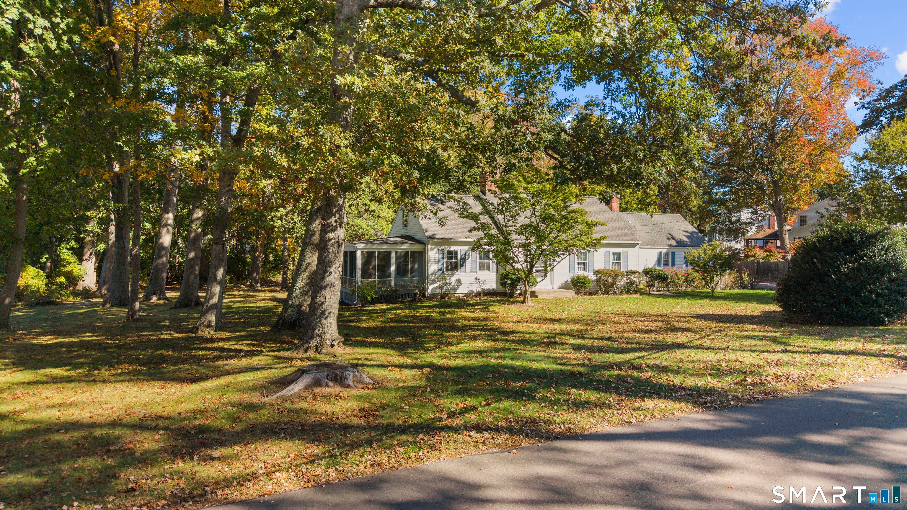 31 Pawson Road