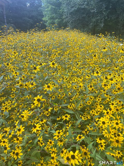 Tiny photo for 205 E Rocks Road, Norwalk, CT 06851 (MLS # 24151950)