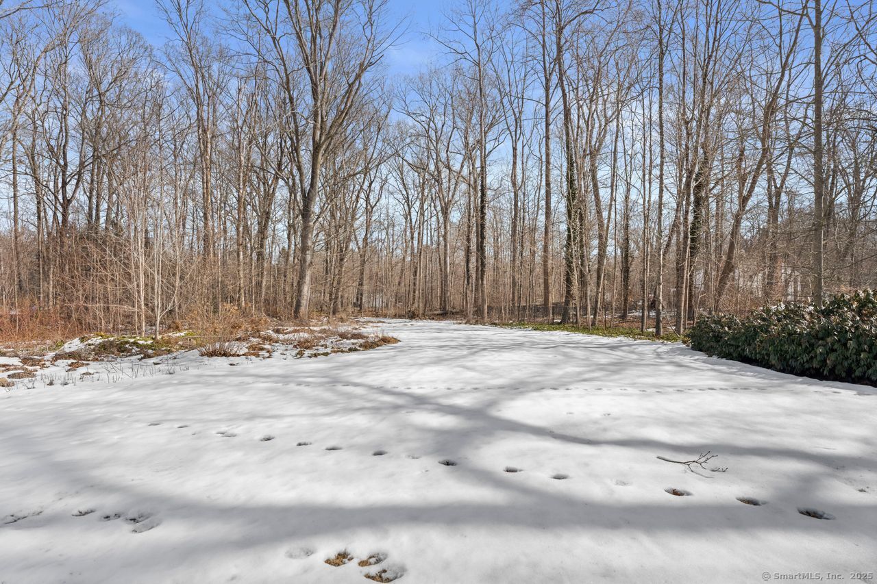 102 Ridge Road, Madison, Connecticut image 31