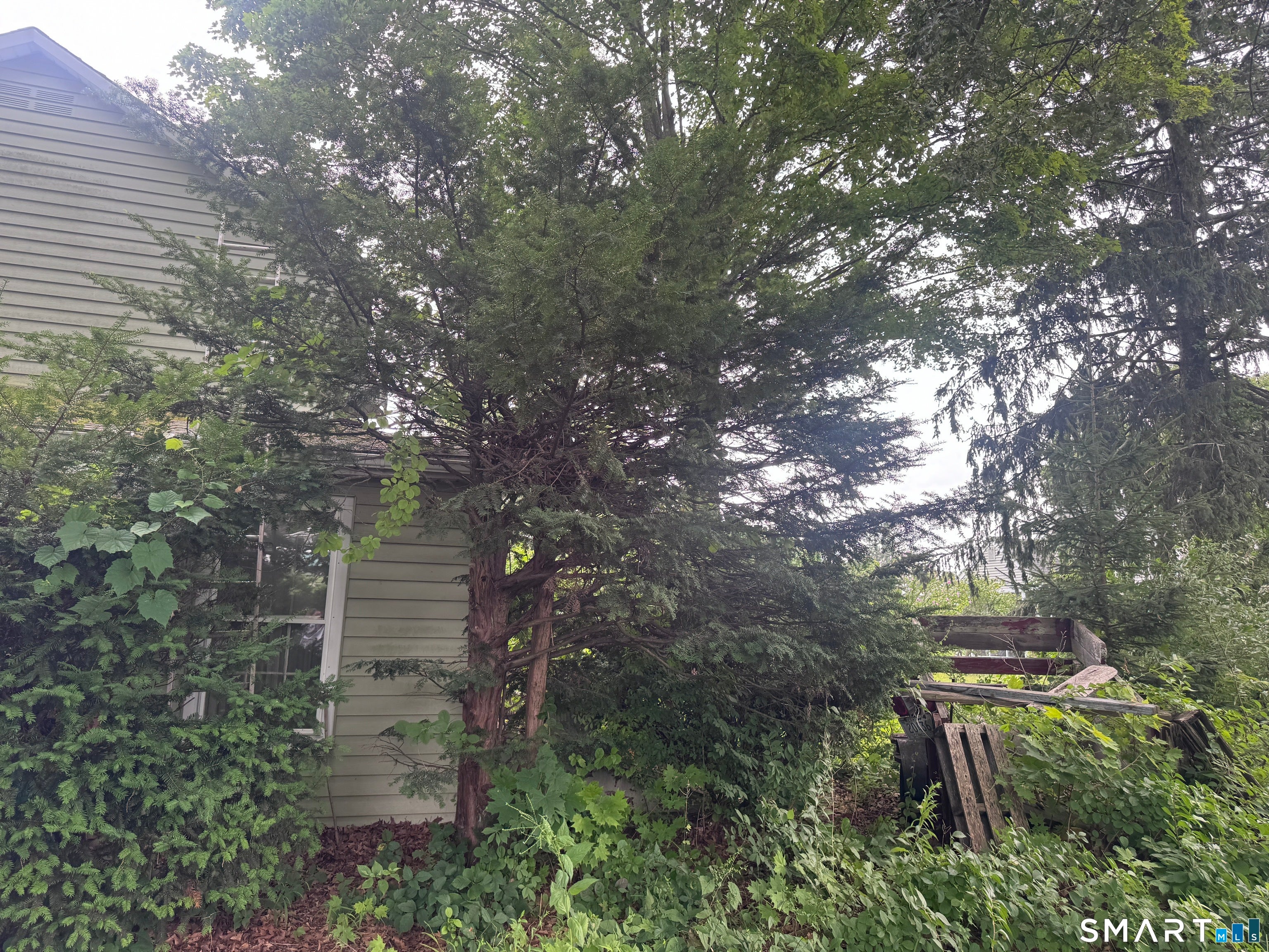 153 Main Street