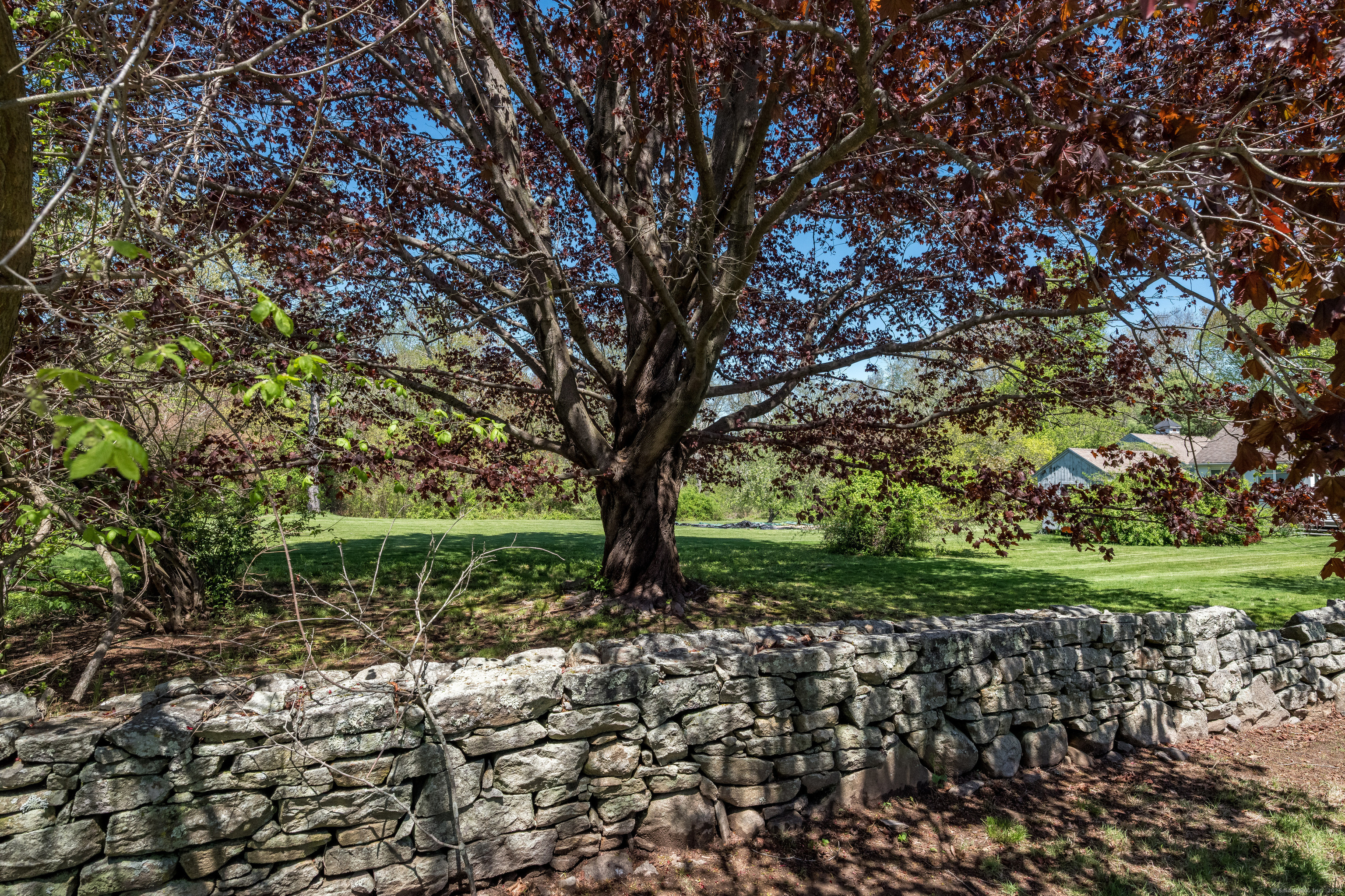 76 Neck Road, Madison, Connecticut image 8