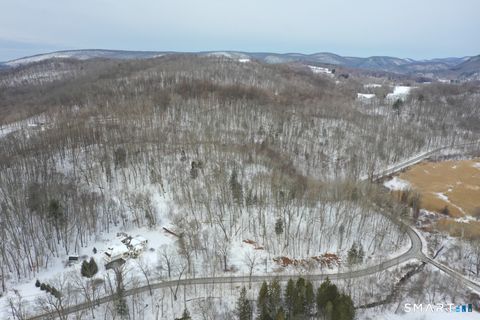 Tiny photo for 100 S Kent Road, New Milford, CT 06755 (MLS # 24154024)