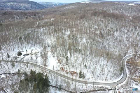 Tiny photo for 100 S Kent Road, New Milford, CT 06755 (MLS # 24154024)