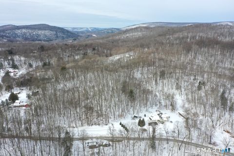 Tiny photo for 100 S Kent Road, New Milford, CT 06755 (MLS # 24154024)