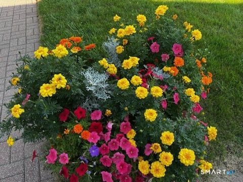 Tiny photo for 44 Glenrock #44, Norwalk, CT 06850 (MLS # 24158045)