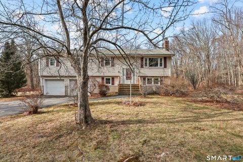 Tiny photo for 256 & 248 Jones Street, Hebron, CT 06231 (MLS # 24146299)