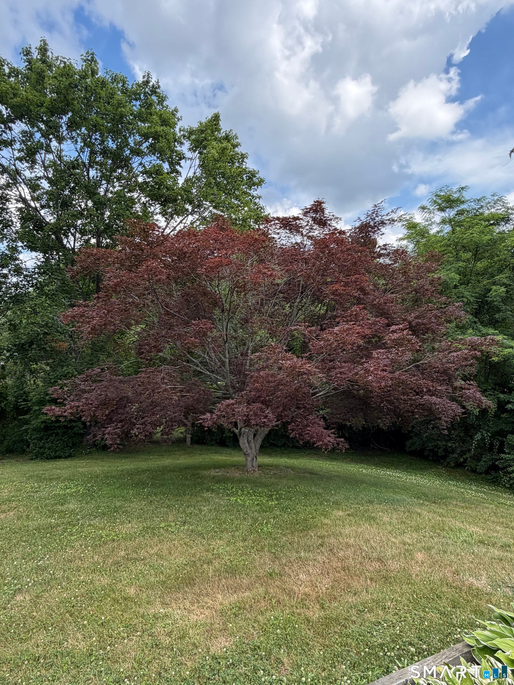 3 Mohican Lane