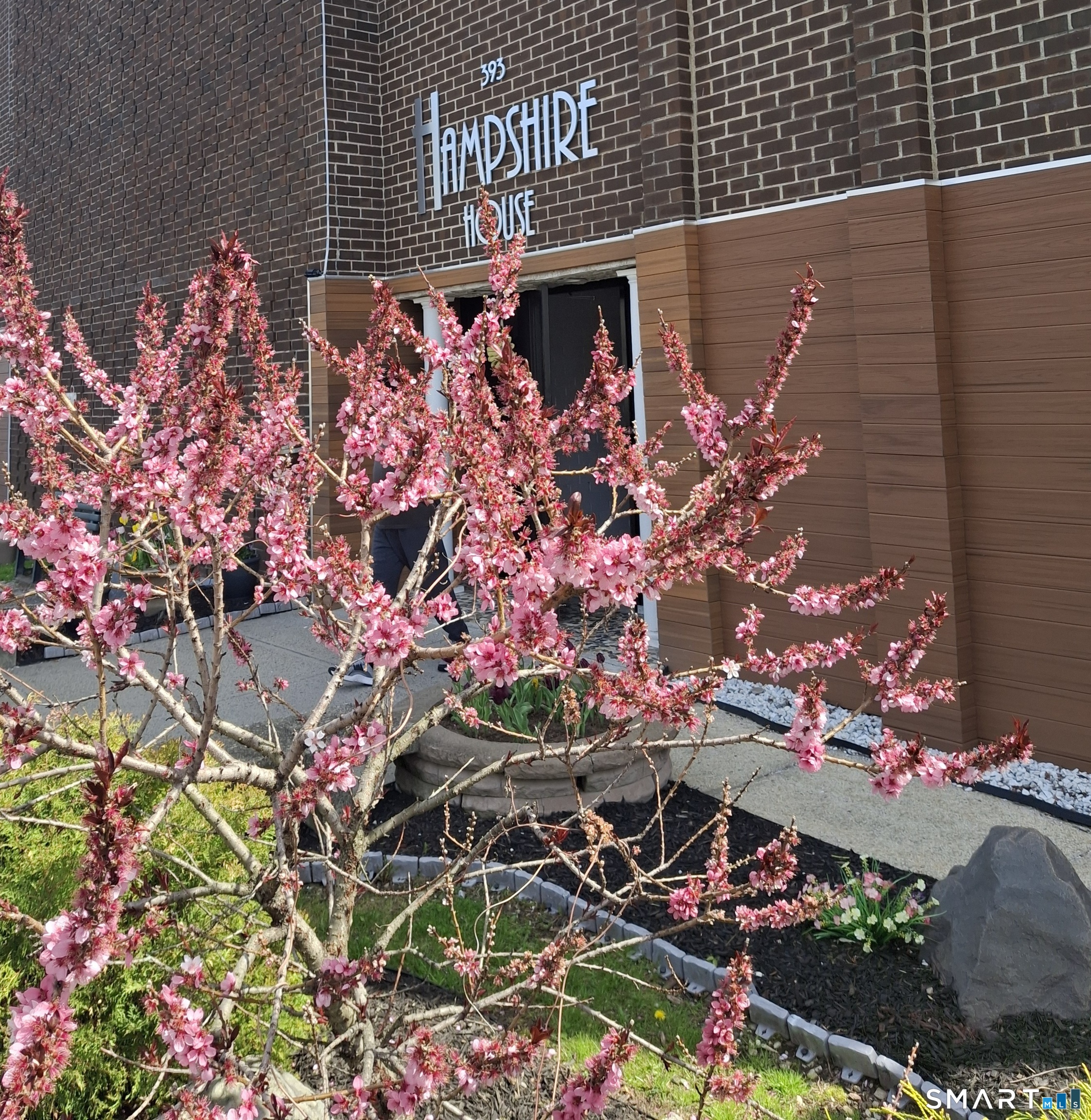 393 Laurel Avenue 305