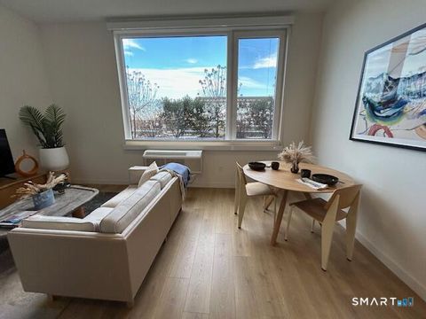 Tiny photo for 42 John Street #311, Stamford, CT 06902 (MLS # 24150448)