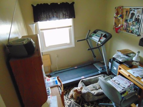 Tiny photo for 57 Alling St Extension, West Haven, CT 06516 (MLS # 24143709)