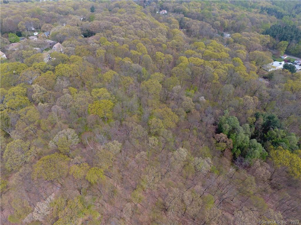 52 Cook Road, Prospect, Connecticut image 17