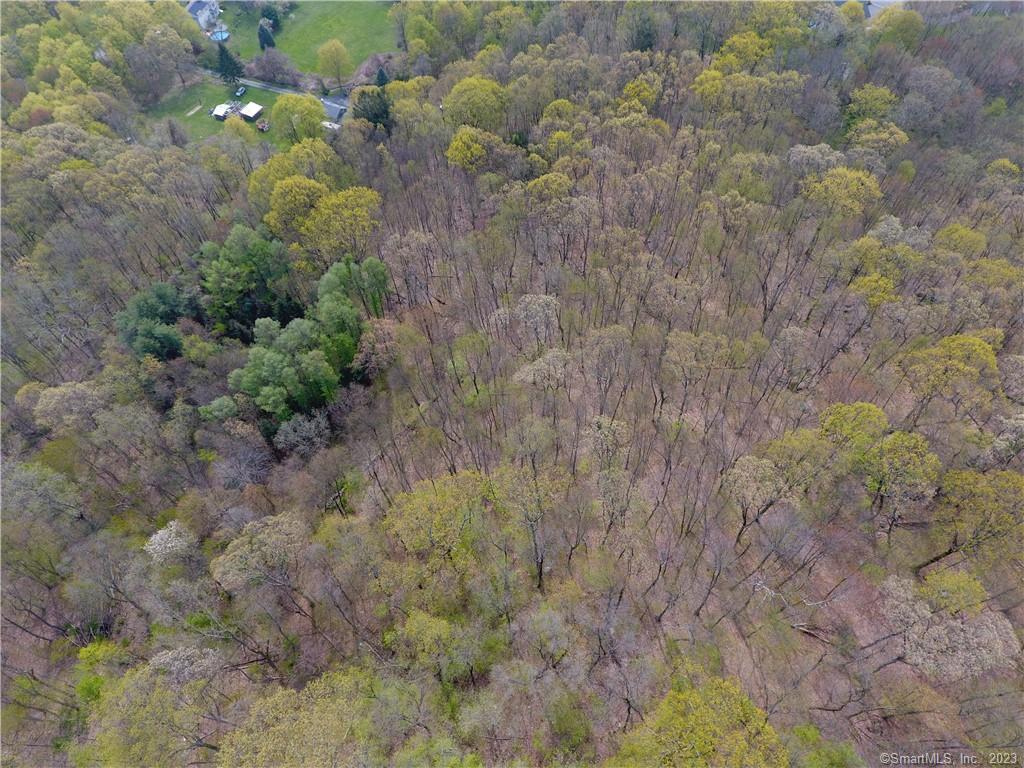52 Cook Road, Prospect, Connecticut image 3