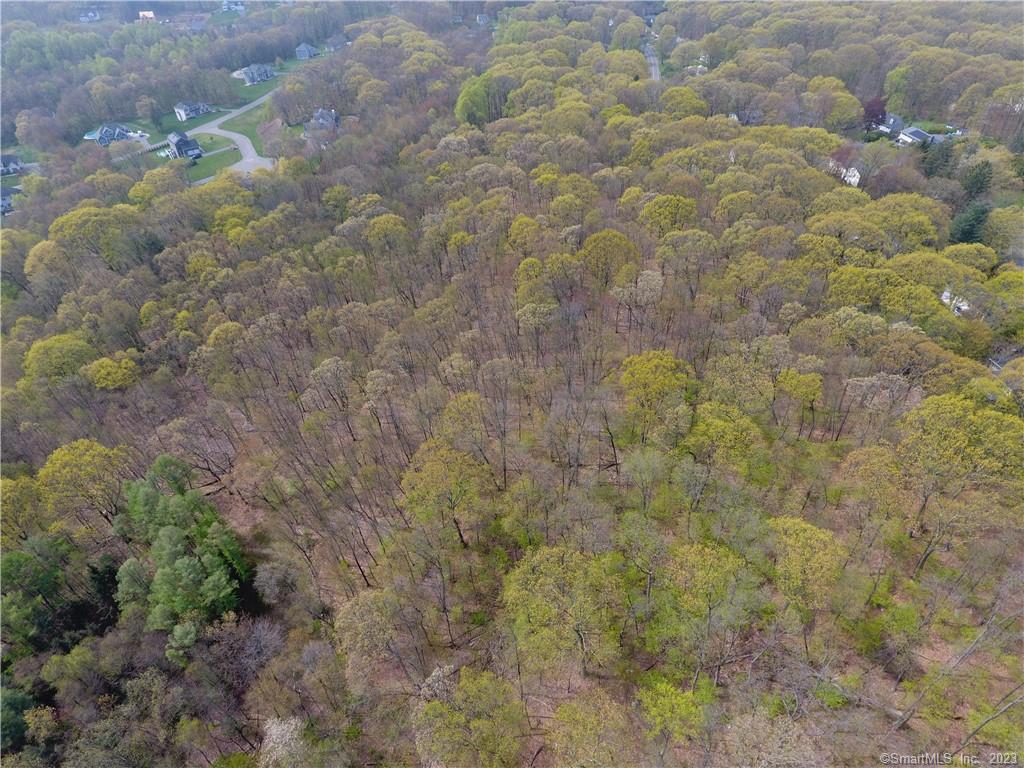 52 Cook Road, Prospect, Connecticut image 16