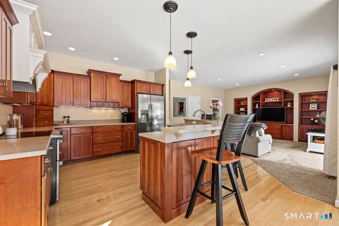 Tiny photo for 3 Meagan Circle, Ellington, CT 06029 (MLS # 24156076)