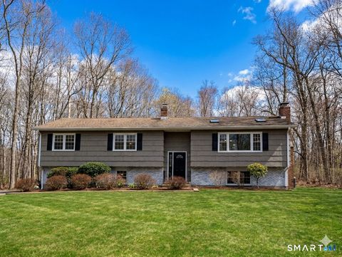 Photo of 83 Birch Hill Road, Newtown, CT 06470 (MLS # 24162848)