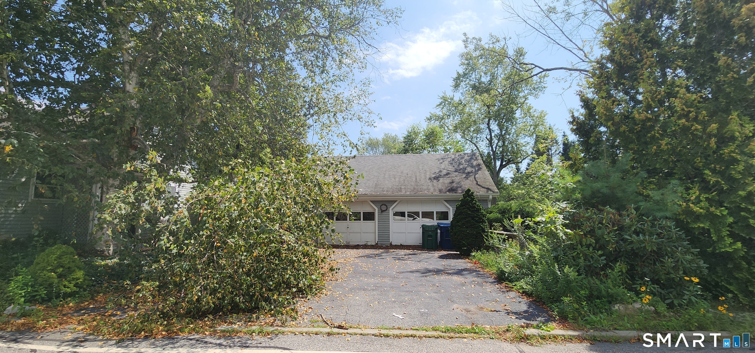 142 Fog Plain Road