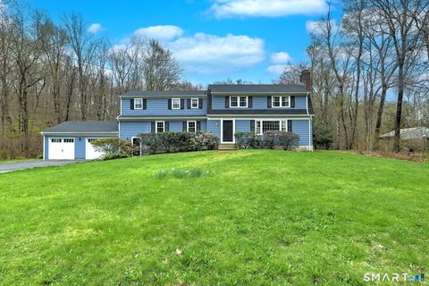 Photo of 14 Ann Drive, Bethany, CT 06524 (MLS # 24166846)
