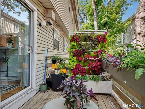 Tiny photo for 63 Maple Tree Avenue #B, Stamford, CT 06906 (MLS # 24198205)