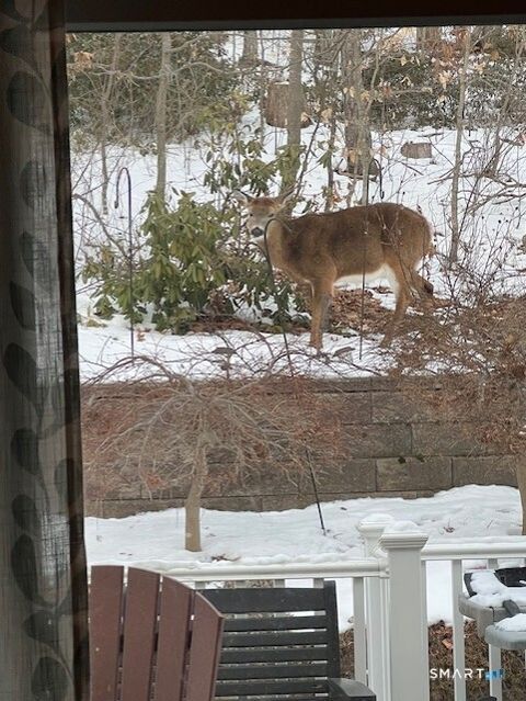 Tiny photo for 26 Boulder Dell Road Extension, Haddam, CT 06441 (MLS # 24153606)