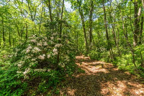 Tiny photo for Warren, CT 06777 (MLS # 24090076)
