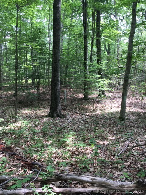 Lots 1 & 2 Jackson Road, Haddam, Connecticut image 6