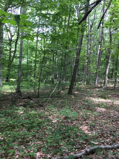 Lots 1 & 2 Jackson Road, Haddam, Connecticut image 8