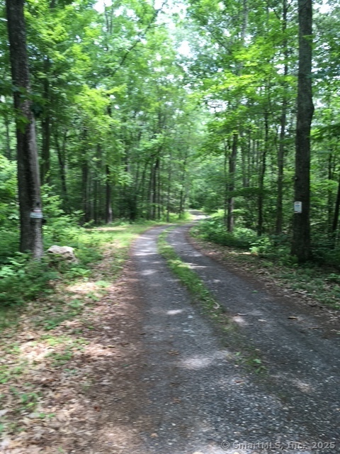 Lots 1 & 2 Jackson Road, Haddam, Connecticut image 5