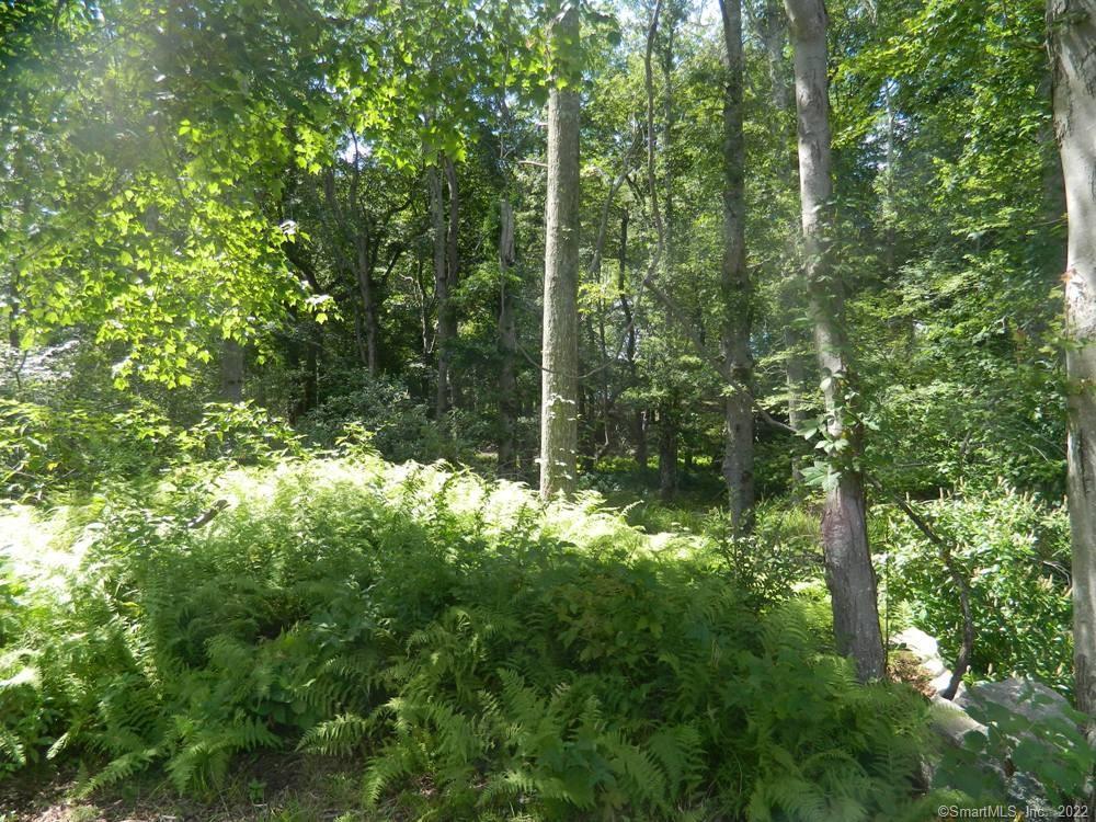 Photo 9 of 22 of 39 Buttonball Road land